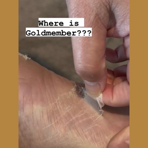 ThePodiArtist content