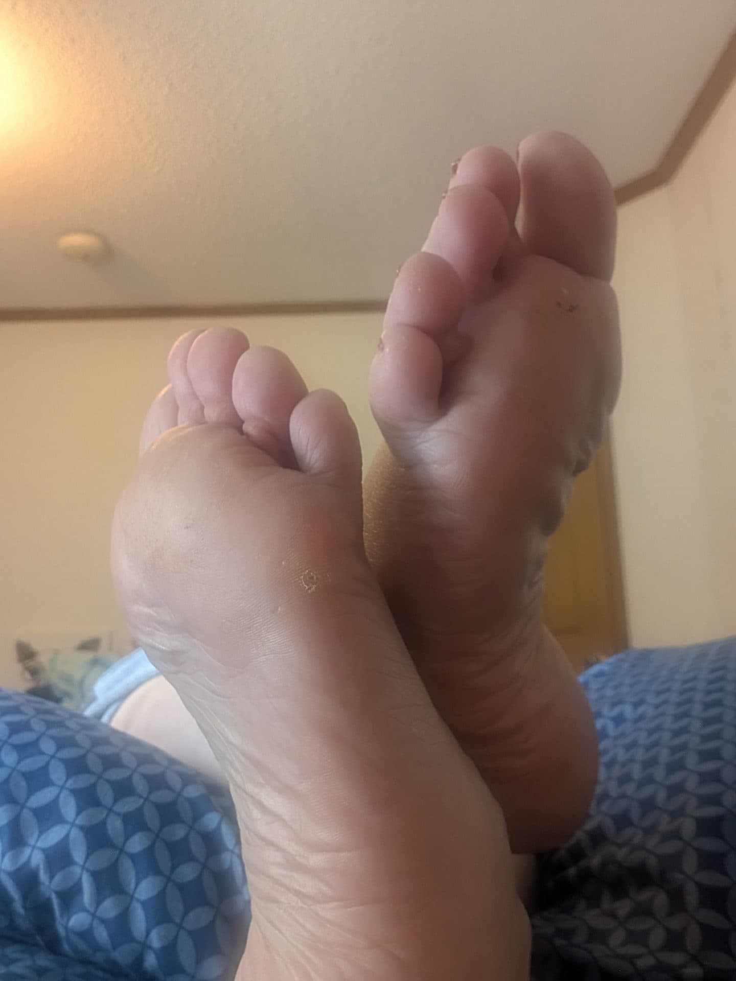 Pettitefeet