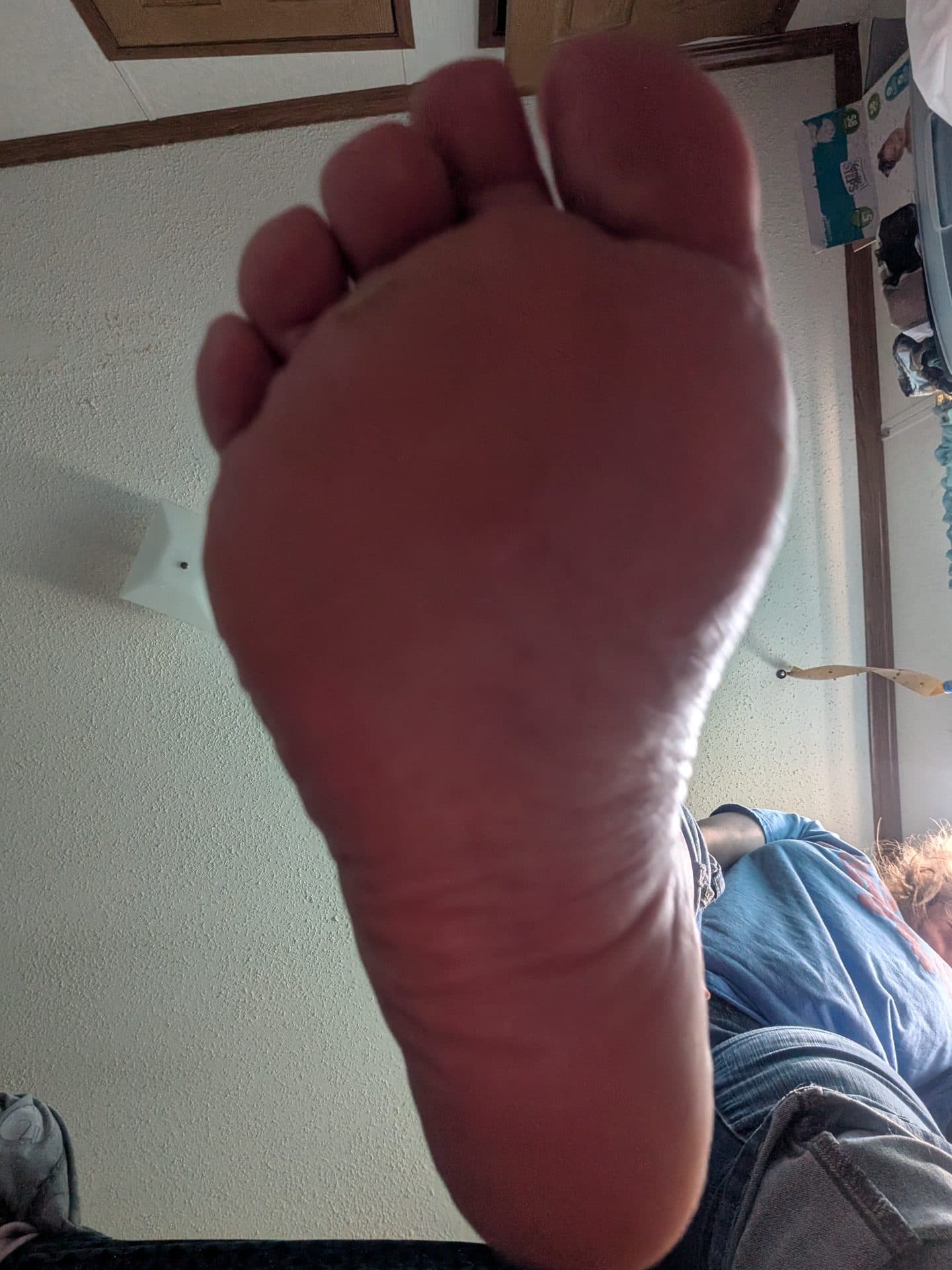Pettitefeet content