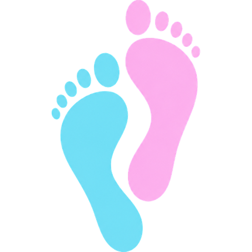 FeetFans